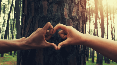 Флиртуем на английском